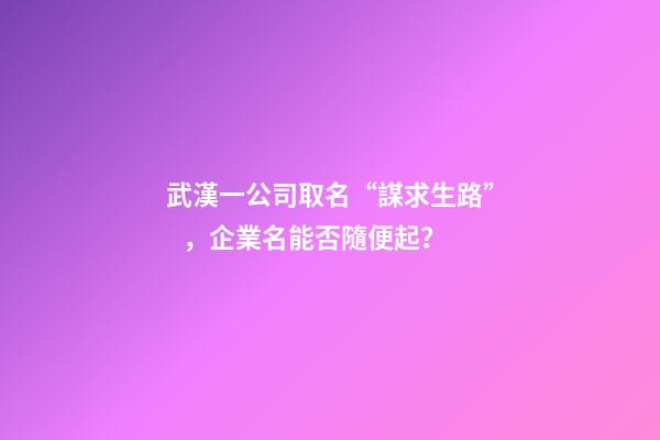 武漢一公司取名“謀求生路”，企業名能否隨便起？